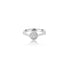 18K White Gold  Daniella Round Cluster Ring