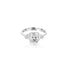 18K White Gold Aryanna Square Cubic