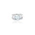 18K White Gold Leticia Oval Aqua Ring