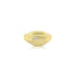 14K T-Tone (0.08 Ct. Tw.) Man Custom Made Ring