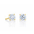 18k Yellow Gold (0.60 Ct. Tw.) Diamond Stud Earring