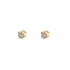 18k Yellow Gold Bezel Cubic Braelyn Earrings