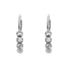 18k White Gold Cubic Lever back Evie Earrings