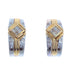 14k T-tone Princess Braylee Earrings